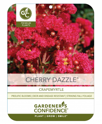Cherry Dazzle® Dwarf