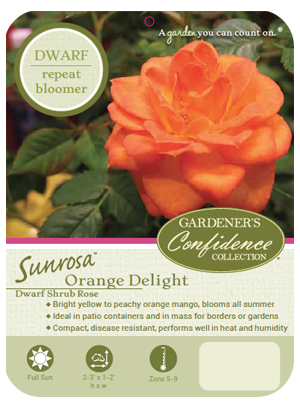  Sunrosa™ Orange Delight
