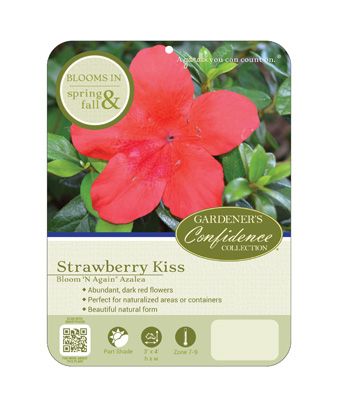 Echo® Strawberry Kiss™
