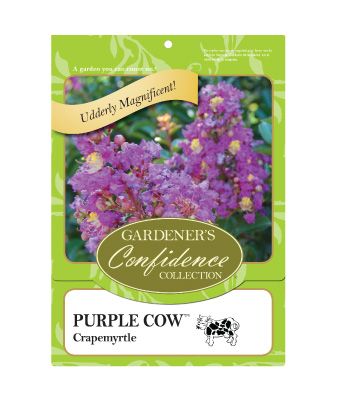 Purple Cow™