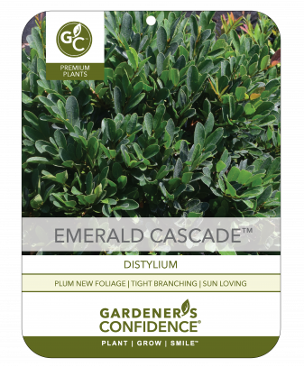 Emerald Cascade®