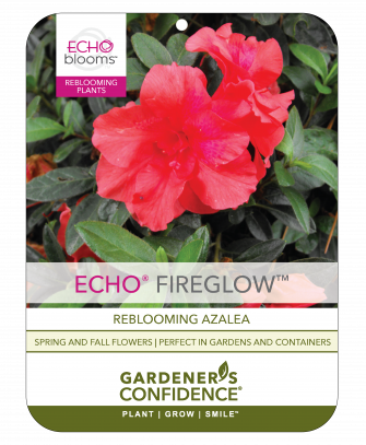 Echo® Fireglow™