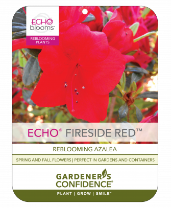 Echo® Fireside Red™