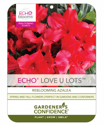 Echo® Love U Lots™
