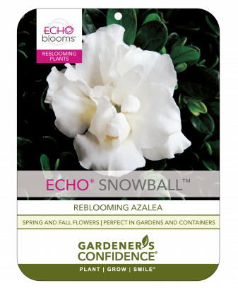 Echo® Snowball™