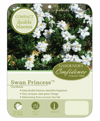 Swan Princess®