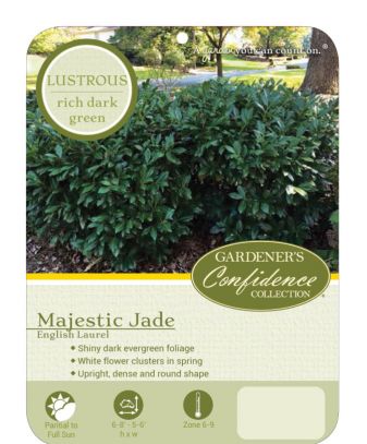 Majestic Jade
