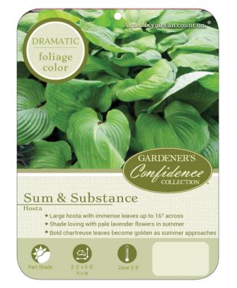 Sum and Substance